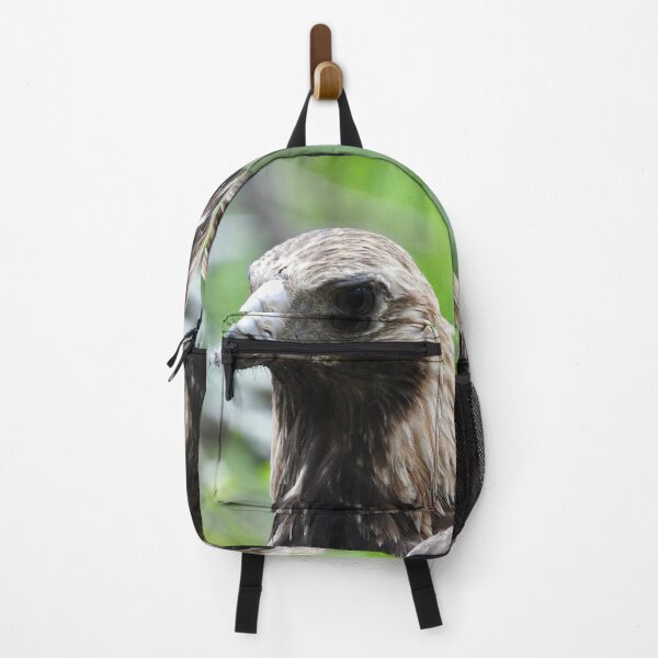 Item preview, Wedge-tail Eagle Austraila's largest bird of prey designed and sold by Mark Grimsley.