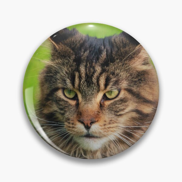 Item preview, Maine Coon Cat  designed and sold by TheAnimalZ00.