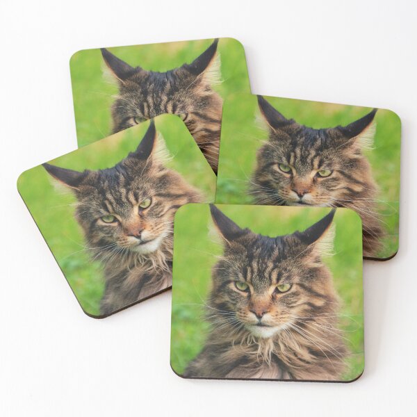 Item preview, Maine Coon Cat  designed and sold by TheAnimalZ00.