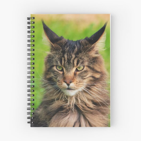 Item preview, Maine Coon Cat  designed and sold by TheAnimalZ00.