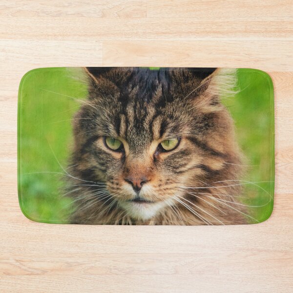 Item preview, Maine Coon Cat  designed and sold by TheAnimalZ00.