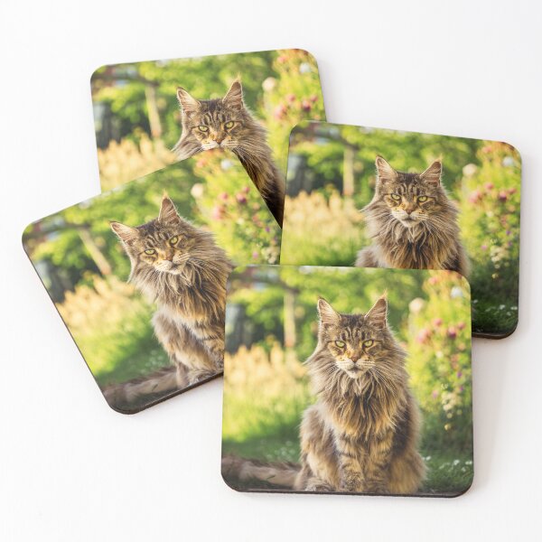 Item preview, Maine Coon Photo designed and sold by TheAnimalZ00.