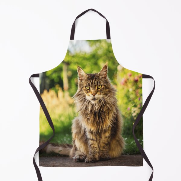 Item preview, Maine Coon Photo designed and sold by TheAnimalZ00.
