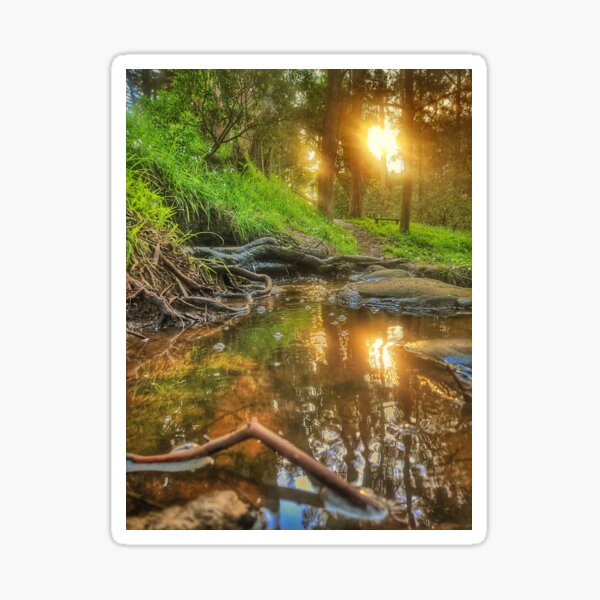 Item preview, Bubbling Brook at Sunset designed and sold by MargretArt.