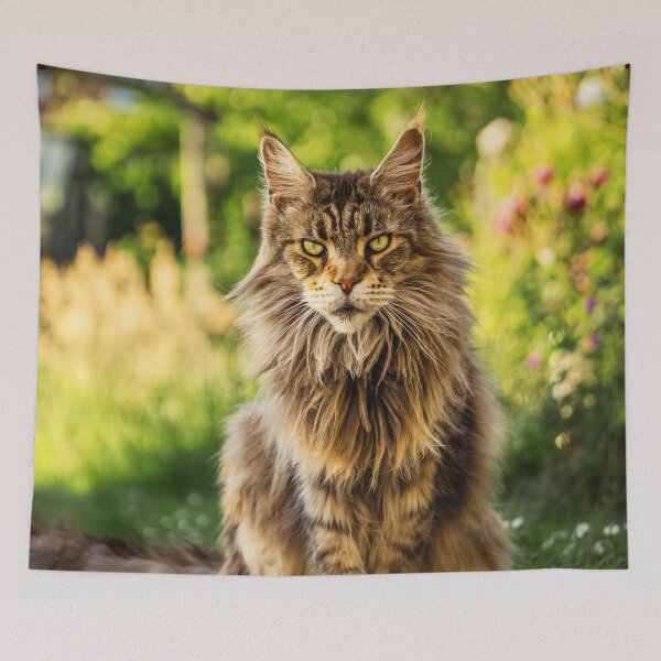 Item preview, Maine Coon Photo designed and sold by TheAnimalZ00.