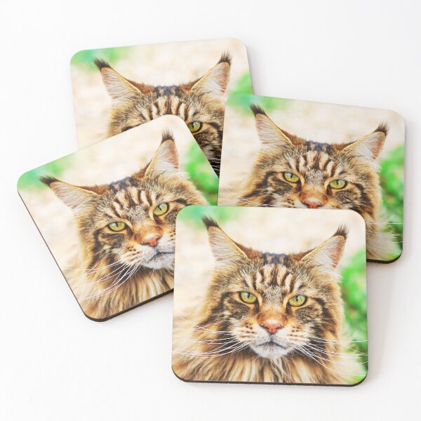 Item preview, Maine Coon Face designed and sold by TheAnimalZ00.