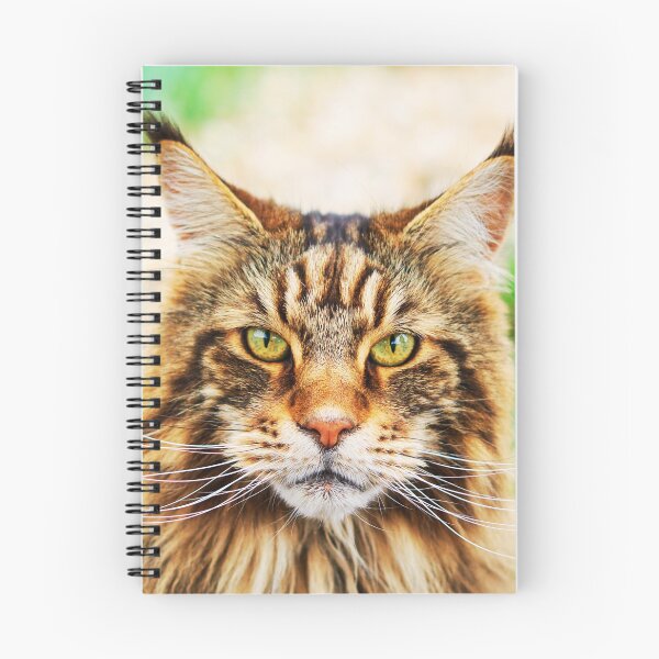Item preview, Maine Coon Face designed and sold by TheAnimalZ00.
