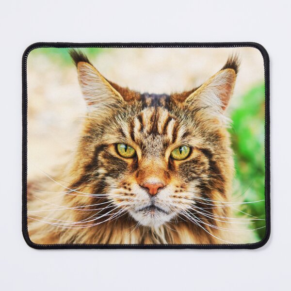 Item preview, Maine Coon Face designed and sold by TheAnimalZ00.