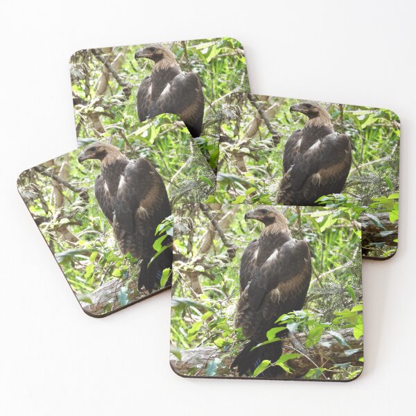 Item preview,  Wedge-tail Eagle Arkarra Lagoons designed and sold by Mark Grimsley.