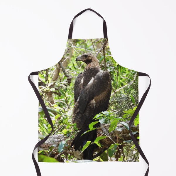 Item preview, Wedge-tail Eagle Arkarra Lagoons designed and sold by Mark Grimsley.