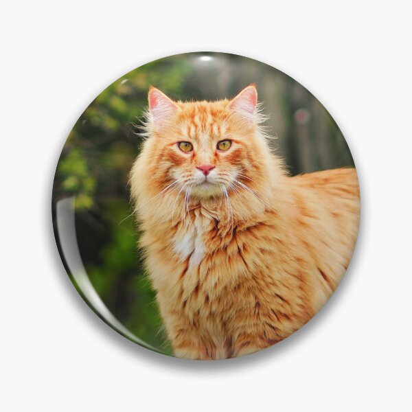 Item preview, Orange Maine Coon Cat designed and sold by TheAnimalZ00.