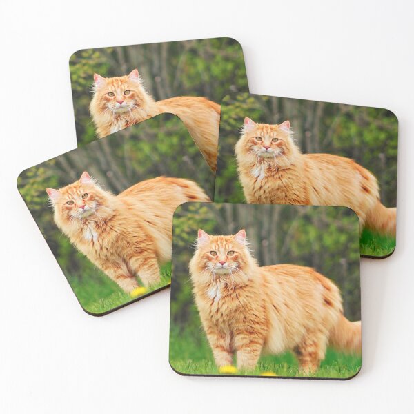 Item preview, Orange Maine Coon Cat designed and sold by TheAnimalZ00.