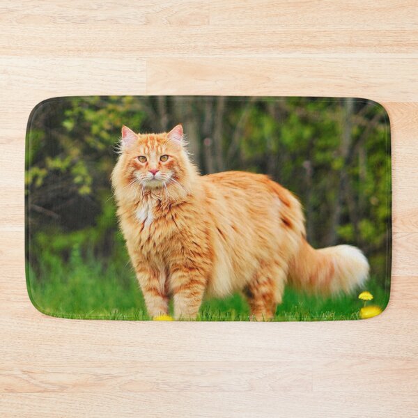 Item preview, Orange Maine Coon Cat designed and sold by TheAnimalZ00.