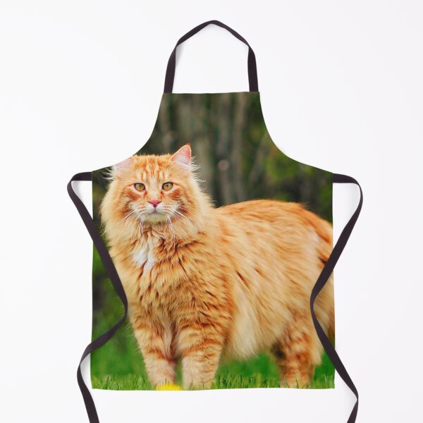 Item preview, Orange Maine Coon Cat designed and sold by TheAnimalZ00.
