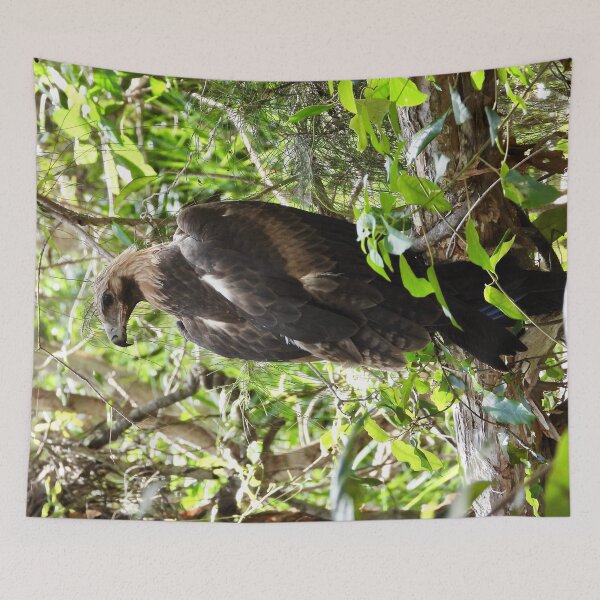 Item preview,  Wedge-tail Eagle Arkarra Lagoons designed and sold by Mark Grimsley.
