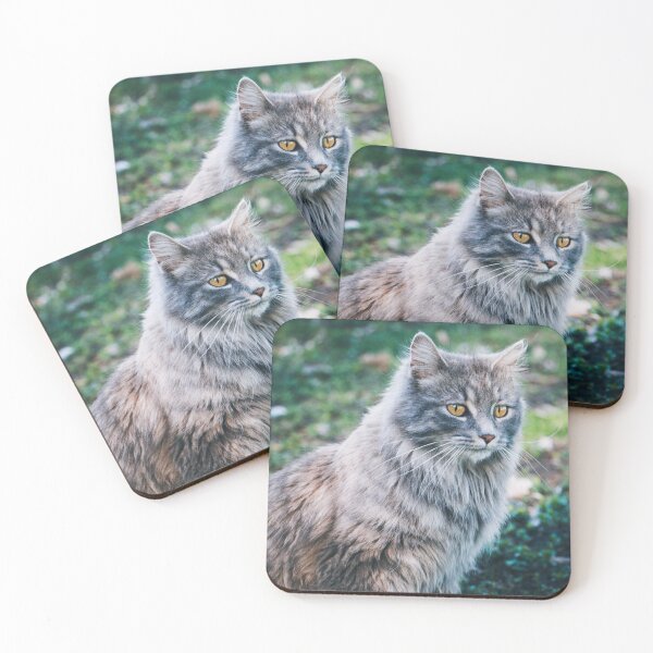 Item preview, Maine Coon Cat Photo designed and sold by TheAnimalZ00.