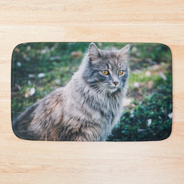 Item preview, Maine Coon Cat Photo designed and sold by TheAnimalZ00.