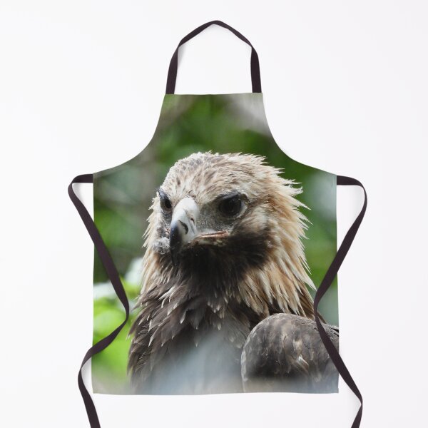 Item preview, Wedge-tail Eagle Majestic bird of prey designed and sold by Mark Grimsley.