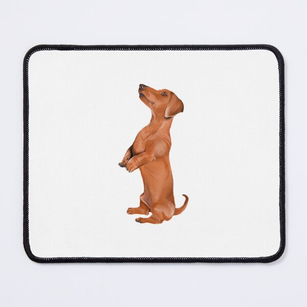 Item preview, Dignified Dachsy designed and sold by BetsyEDesign.