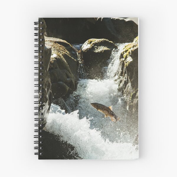Item preview, Leaping coho designed and sold by millivedder.