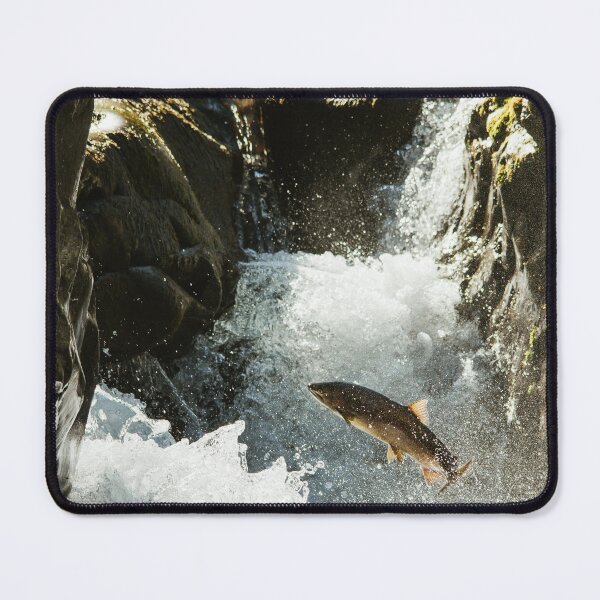 Item preview, Leaping coho designed and sold by millivedder.