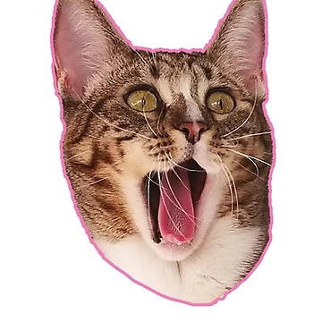 Artwork thumbnail, Surprised CAT! by ROSIE-47