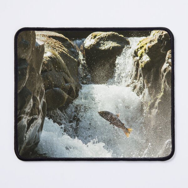 Item preview, Leaping salmon designed and sold by millivedder.