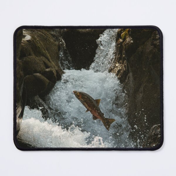 Item preview, Coho ii designed and sold by millivedder.