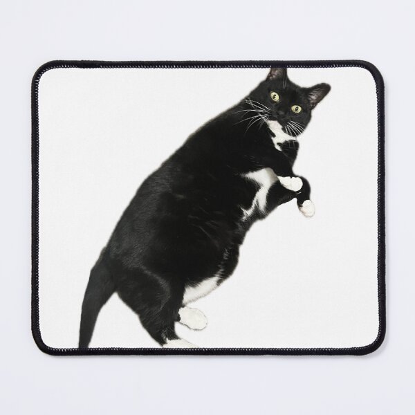Item preview, funny cat tuxedo cat black and white cute kitten designed and sold by UchihaIndustry.