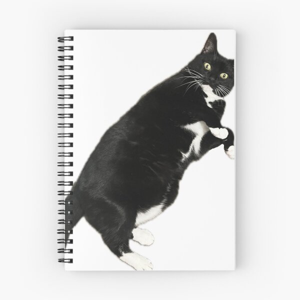 Item preview, funny cat tuxedo cat black and white cute kitten designed and sold by UchihaIndustry.