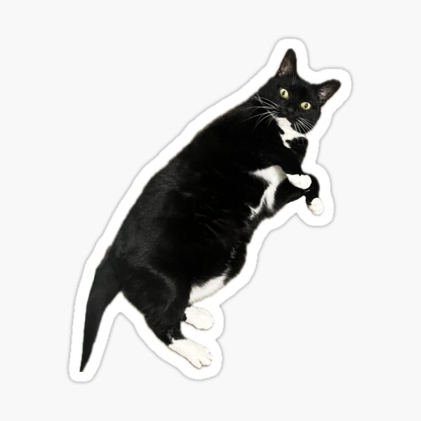Vista previa del artículo con la obra «gracioso gato gato de esmoquin blanco y negro lindo gatito», diseñado y vendido por UchihaIndustry.