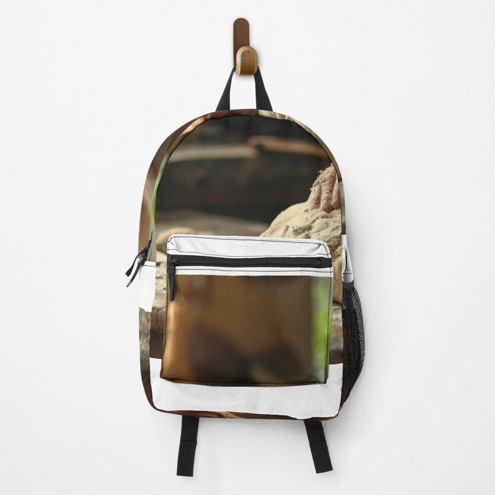 Item preview, Backpack designed and sold by RicoInStudios.
