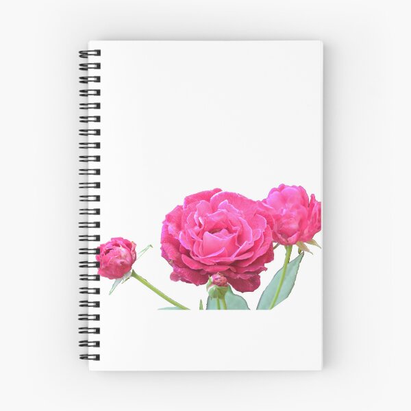 Item preview, Rose flowers and bud/Nature designed and sold by VeenaNair23.