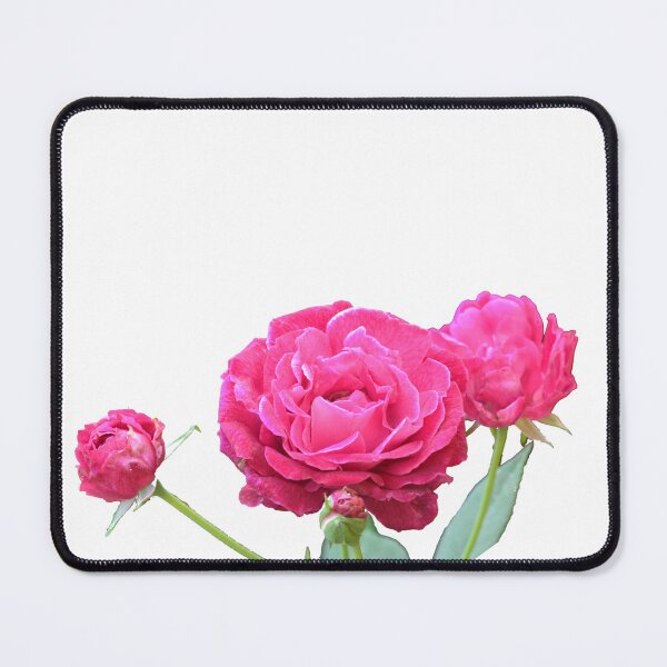 Item preview, Rose flowers and bud/Nature designed and sold by VeenaNair23.