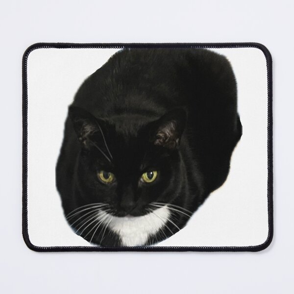 Item preview, cute cat loaf black white tuxedo cat funny designed and sold by UchihaIndustry.