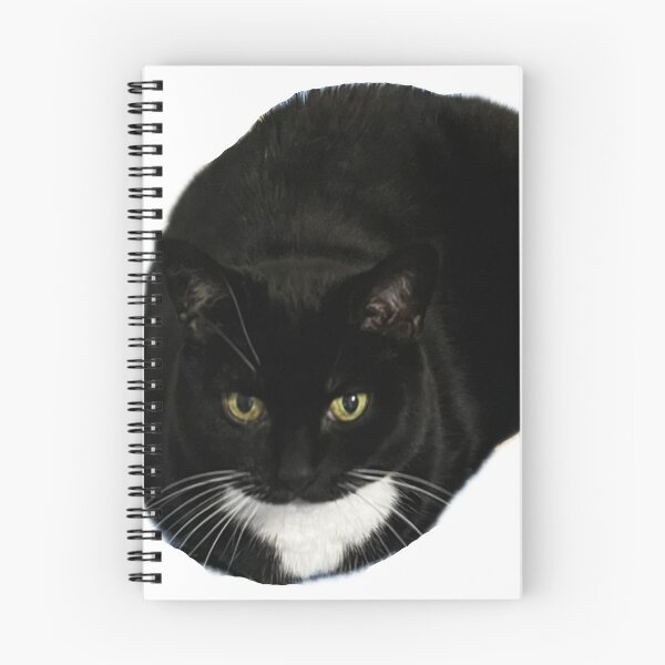 Item preview, cute cat loaf black white tuxedo cat funny designed and sold by UchihaIndustry.