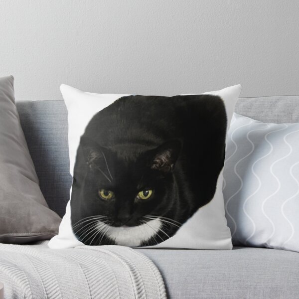 Item preview, cute cat loaf black white tuxedo cat funny designed and sold by UchihaIndustry.