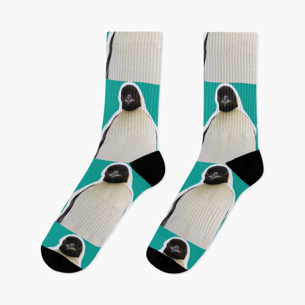 Item preview, Judgemental Emperor Penguin (Teal #03A096 Background)  designed and sold by SBPenguins.