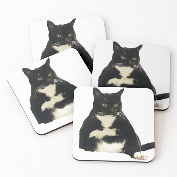 Item preview, funny cat black and white cat sitting cute designed and sold by UchihaIndustry.