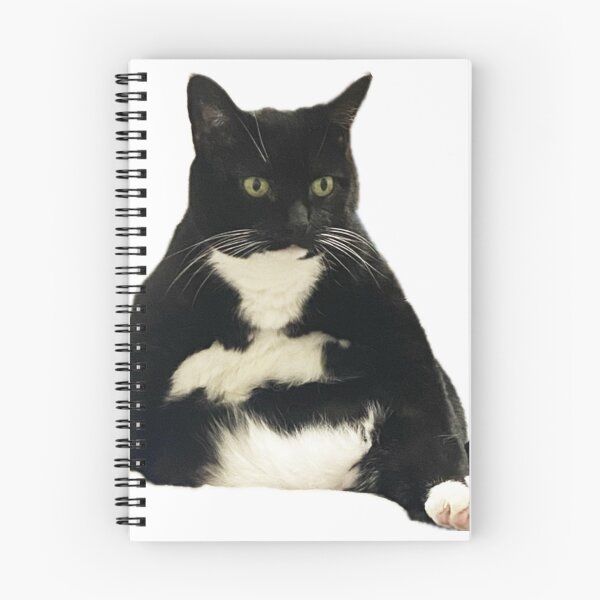 Item preview, funny cat black and white cat sitting cute designed and sold by UchihaIndustry.