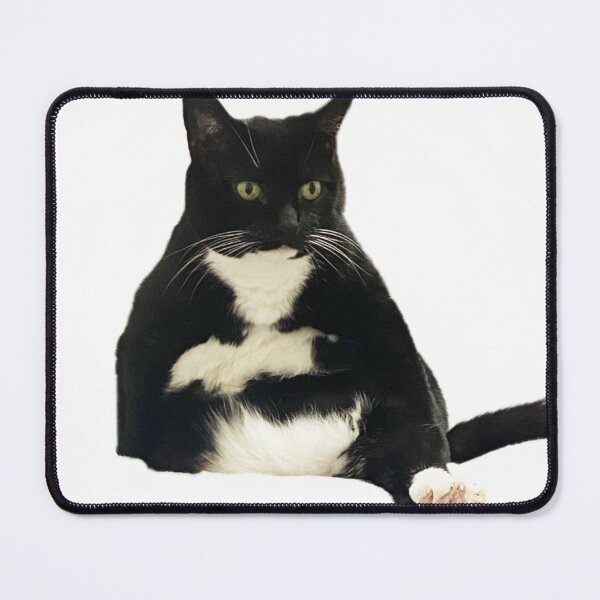 Item preview, funny cat black and white cat sitting cute designed and sold by UchihaIndustry.