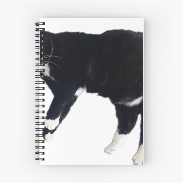 Item preview, cute black and white cat sleeping funny tuxedo cat designed and sold by UchihaIndustry.
