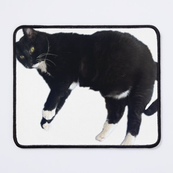 Item preview, cute black and white cat sleeping funny tuxedo cat designed and sold by UchihaIndustry.