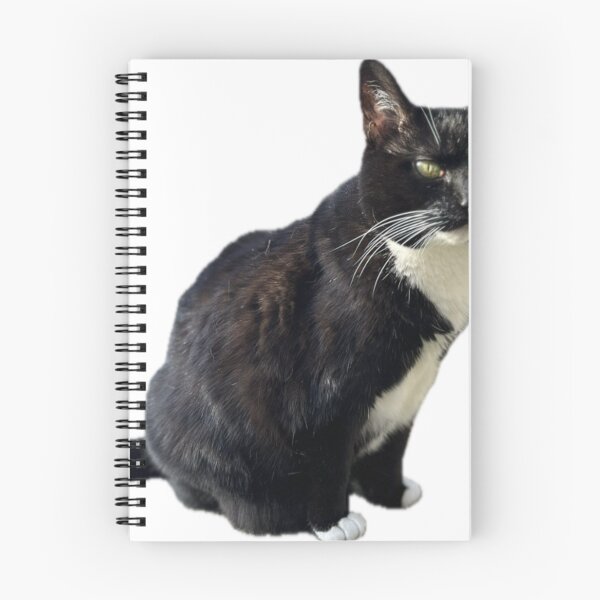 Item preview, cute black cat sitting tuxedo cat pet designed and sold by UchihaIndustry.