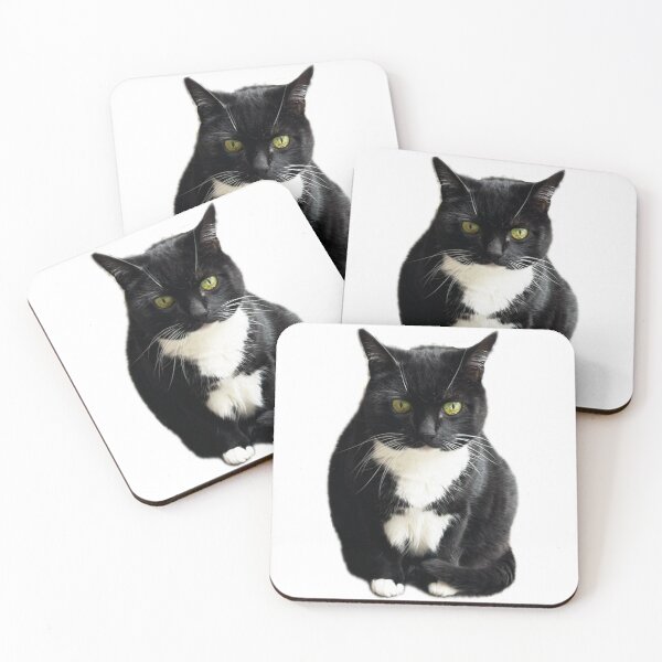 Item preview, cute cat sitting black white tuxedo cat pet designed and sold by UchihaIndustry.