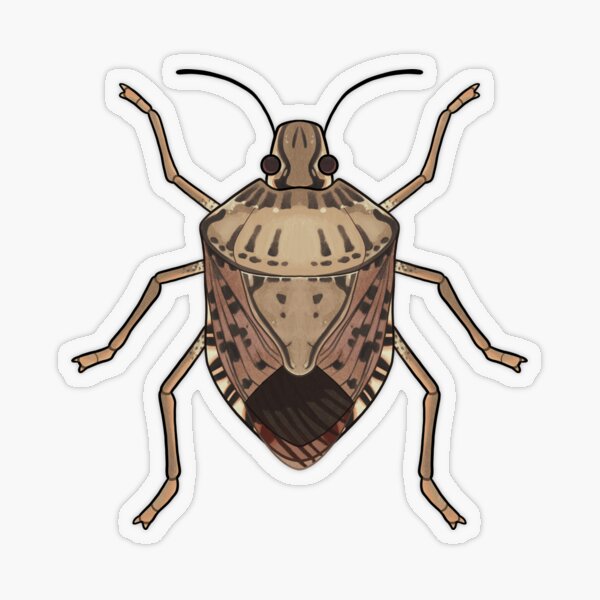 Item preview, Stinkbug designed and sold by DinoDoggie.