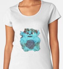 All Hail Beebo Women's Premium T-Shirt