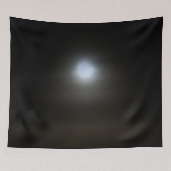 Item preview, Secrets of the moon. Full moon at Parkkuu January 2024. designed and sold by Jouko Lehto Photography.