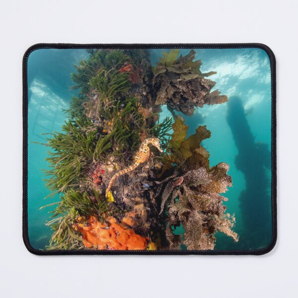 Item preview, Underneath The Jetty designed and sold by Russell Charters.
