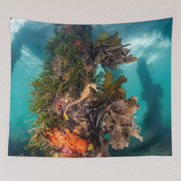 Item preview, Underneath The Jetty designed and sold by Russell Charters.